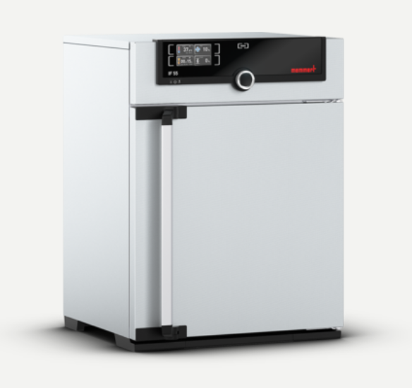 Memmert IF55 İnkübatör 