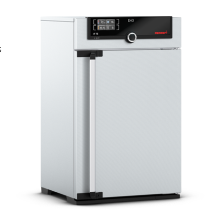 Memmert IF75 İnkübatör 